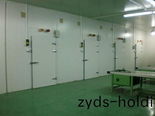 電子(zi)化工冷庫